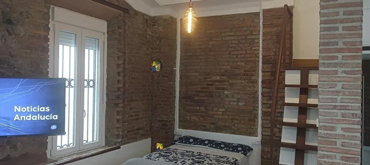 Fernando El Catolico Premium Apartment Malaga