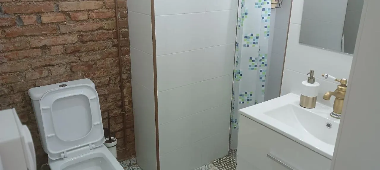 Fernando El Catolico Premium Apartment Malaga 0*,  Spain